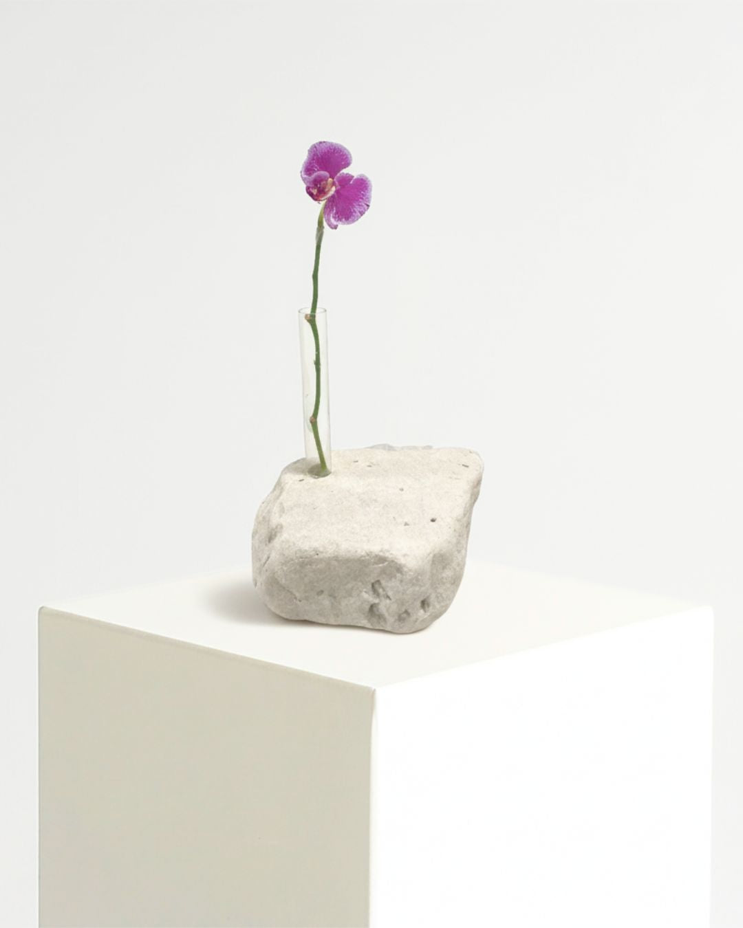 Pietra di Flor Mármore Travertino White Cream