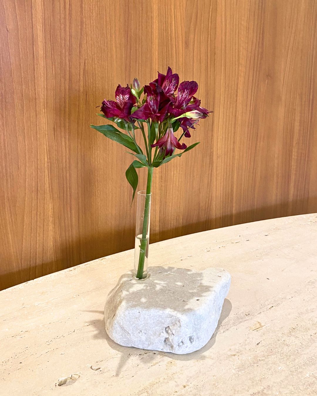 Pietra di Flor Mármore Travertino White Cream
