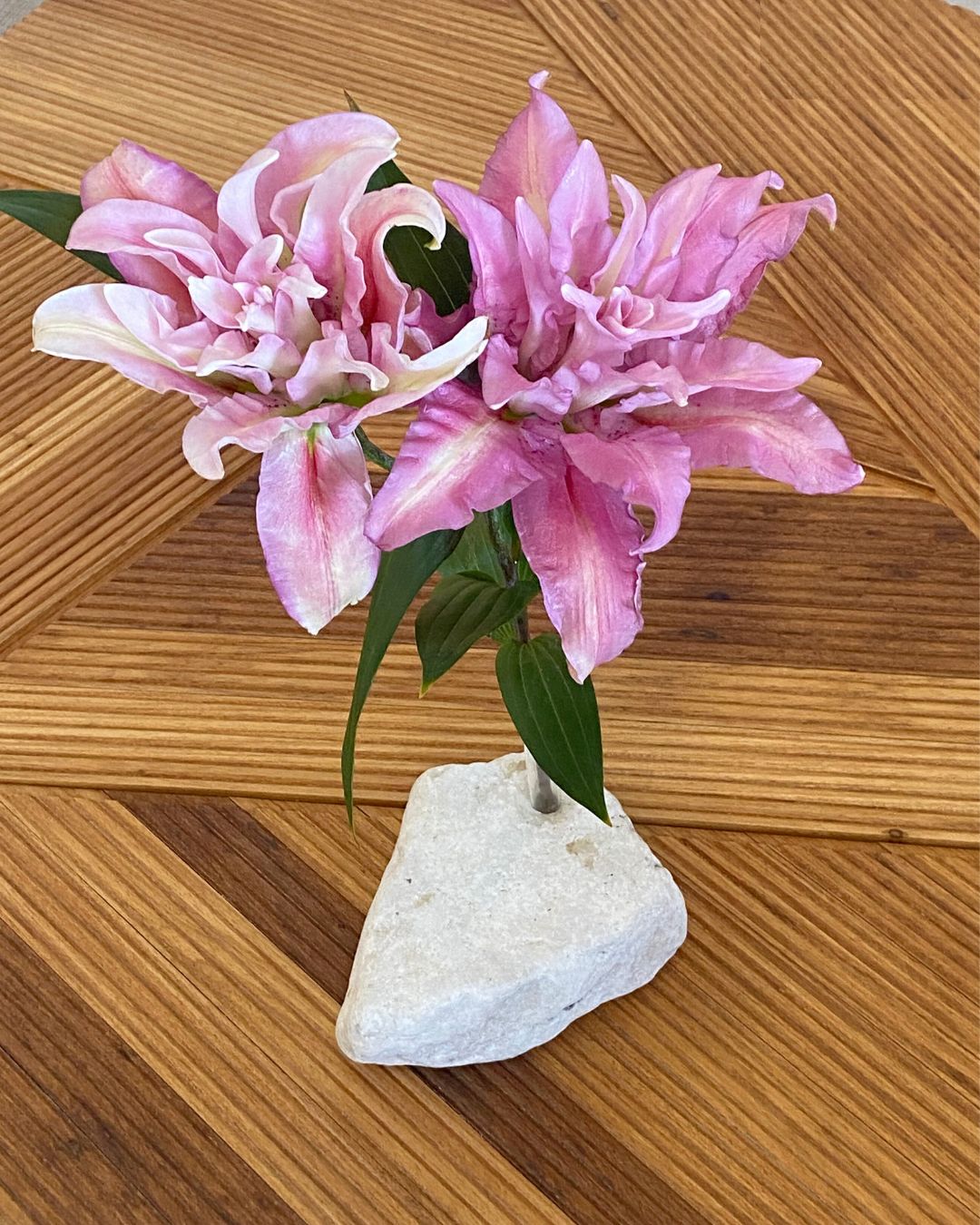 Pietra di Flor Mármore Travertino White Cream