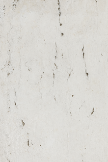 Mármore Travertino White Cream